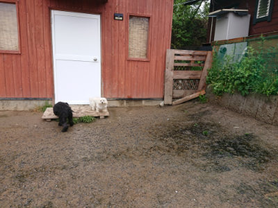 f:id:roukenhome-ann:20190430193515j:plain