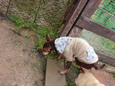 f:id:roukenhome-ann:20190430193552j:plain