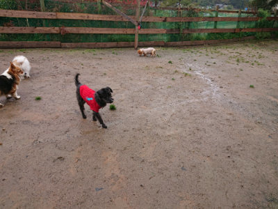 f:id:roukenhome-ann:20190430200644j:plain