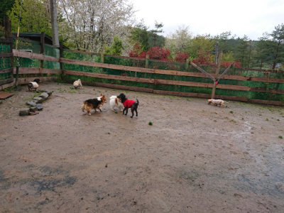 f:id:roukenhome-ann:20190430200703j:plain