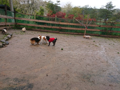 f:id:roukenhome-ann:20190430200712j:plain
