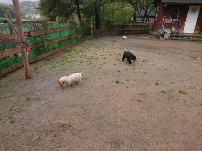 f:id:roukenhome-ann:20190430200816j:plain