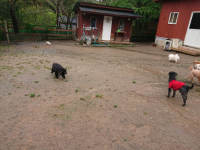 f:id:roukenhome-ann:20190430200834j:plain
