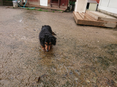 f:id:roukenhome-ann:20190430200924j:plain