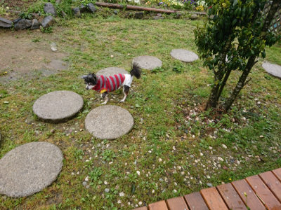 f:id:roukenhome-ann:20190430201252j:plain