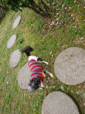 f:id:roukenhome-ann:20190430201318j:plain