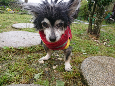 f:id:roukenhome-ann:20190430201445j:plain