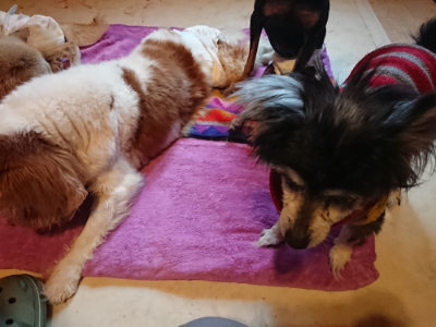 f:id:roukenhome-ann:20190501113708j:plain f:id:roukenhome-ann:20190501113708j:plain