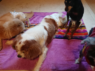 f:id:roukenhome-ann:20190501113719j:plain f:id:roukenhome-ann:20190501113719j:plain