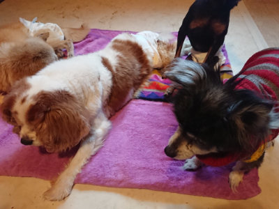 f:id:roukenhome-ann:20190501113736j:plain f:id:roukenhome-ann:20190501113736j:plain
