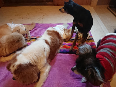 f:id:roukenhome-ann:20190501113741j:plain f:id:roukenhome-ann:20190501113741j:plain
