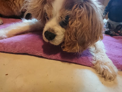 f:id:roukenhome-ann:20190501113908j:plain f:id:roukenhome-ann:20190501113908j:plain