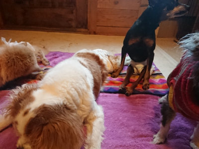 f:id:roukenhome-ann:20190501113920j:plain f:id:roukenhome-ann:20190501113920j:plain