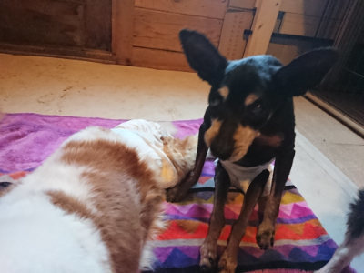 f:id:roukenhome-ann:20190501113936j:plain f:id:roukenhome-ann:20190501113936j:plain