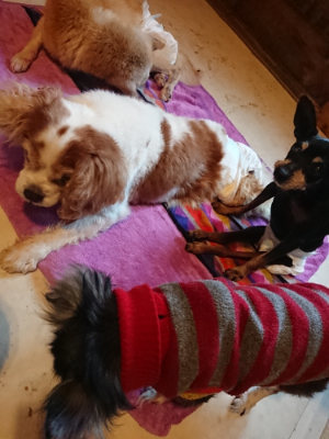 f:id:roukenhome-ann:20190501114009j:plain f:id:roukenhome-ann:20190501114009j:plain