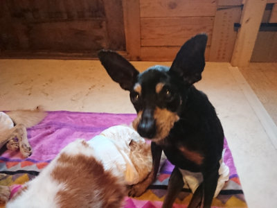 f:id:roukenhome-ann:20190501114110j:plain f:id:roukenhome-ann:20190501114110j:plain