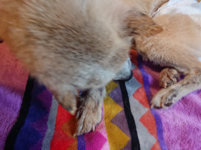 f:id:roukenhome-ann:20190501114113j:plain f:id:roukenhome-ann:20190501114113j:plain