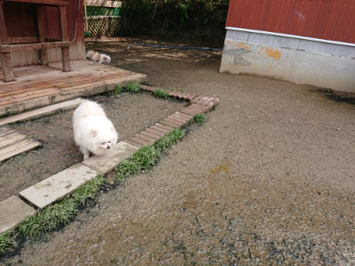 f:id:roukenhome-ann:20190503113710j:plain