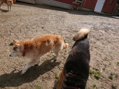 f:id:roukenhome-ann:20190503113820j:plain