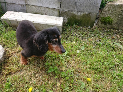 f:id:roukenhome-ann:20190503114009j:plain
