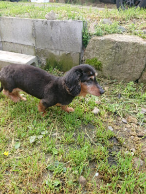 f:id:roukenhome-ann:20190503114120j:plain