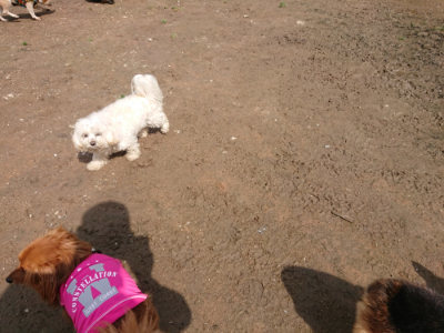 f:id:roukenhome-ann:20190503114126j:plain