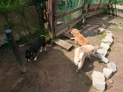 f:id:roukenhome-ann:20190503114220j:plain