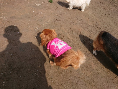 f:id:roukenhome-ann:20190503114226j:plain