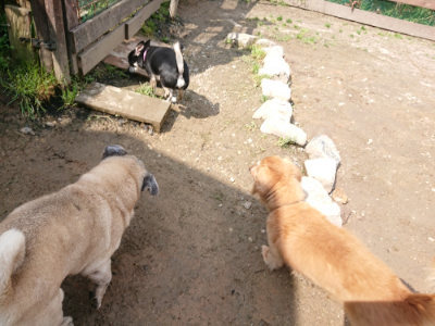 f:id:roukenhome-ann:20190503114301j:plain