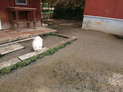 f:id:roukenhome-ann:20190503114325j:plain