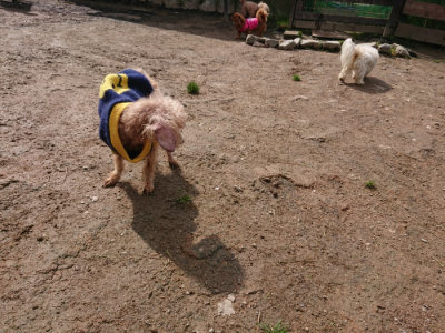 f:id:roukenhome-ann:20190503114331j:plain