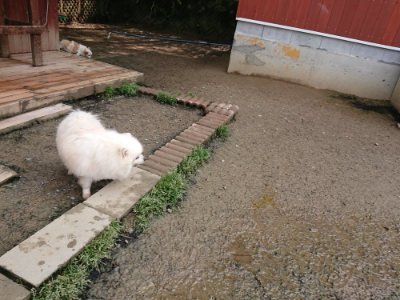 f:id:roukenhome-ann:20190503114420j:plain