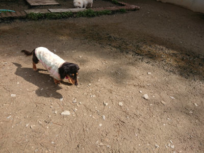 f:id:roukenhome-ann:20190503124546j:plain