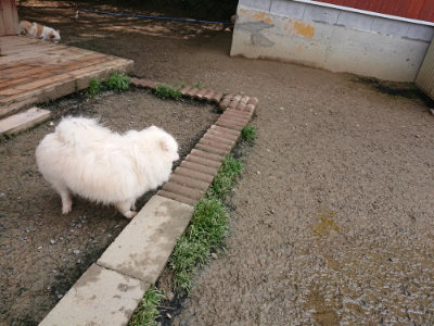 f:id:roukenhome-ann:20190503124552j:plain