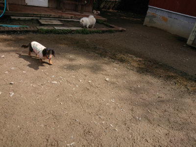 f:id:roukenhome-ann:20190503124617j:plain