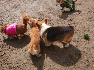 f:id:roukenhome-ann:20190503124637j:plain
