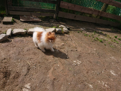 f:id:roukenhome-ann:20190503124730j:plain
