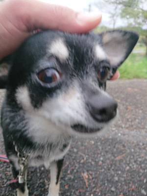 f:id:roukenhome-ann:20190503124753j:plain