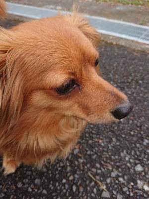f:id:roukenhome-ann:20190503124916j:plain