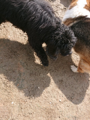 f:id:roukenhome-ann:20190503124921j:plain