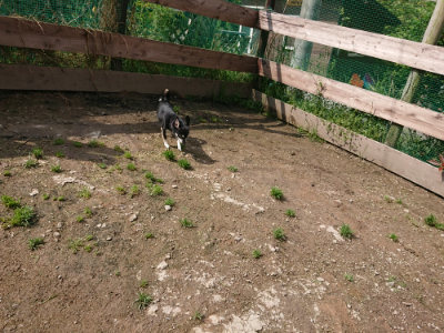 f:id:roukenhome-ann:20190503124930j:plain