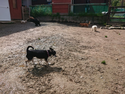 f:id:roukenhome-ann:20190503124935j:plain