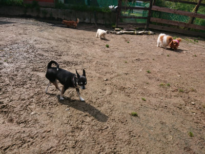 f:id:roukenhome-ann:20190503124942j:plain