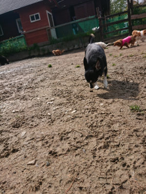 f:id:roukenhome-ann:20190503124953j:plain