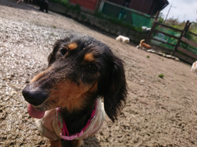 f:id:roukenhome-ann:20190503125005j:plain