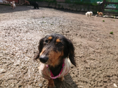 f:id:roukenhome-ann:20190503125011j:plain