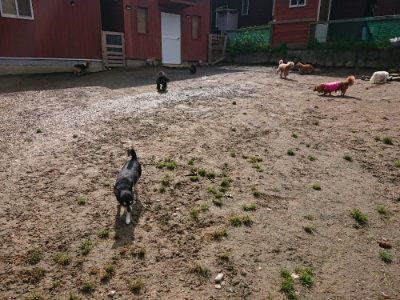f:id:roukenhome-ann:20190503125118j:plain