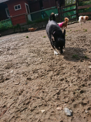 f:id:roukenhome-ann:20190503125134j:plain