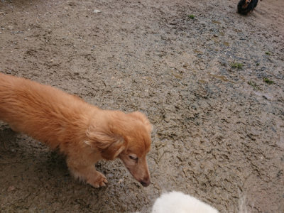 f:id:roukenhome-ann:20190503125236j:plain