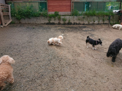 f:id:roukenhome-ann:20190503125241j:plain